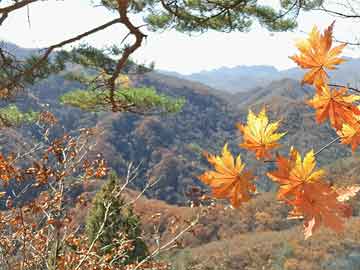 十八大何时召开:十八届何时召开