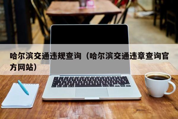 哈尔滨交通违规查询（哈尔滨交通违章查询官方网站）