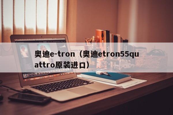 奥迪e-tron（奥迪etron55quattro原装进口）