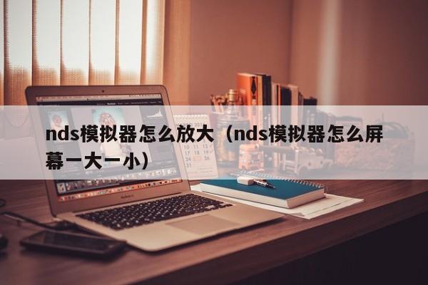 nds模拟器怎么放大（nds模拟器怎么屏幕一大一小）