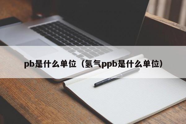 pb是什么单位（氢气ppb是什么单位）