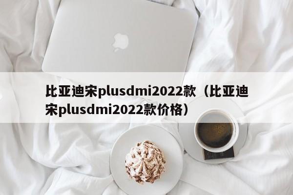 比亚迪宋plusdmi2022款（比亚迪宋plusdmi2022款价格）