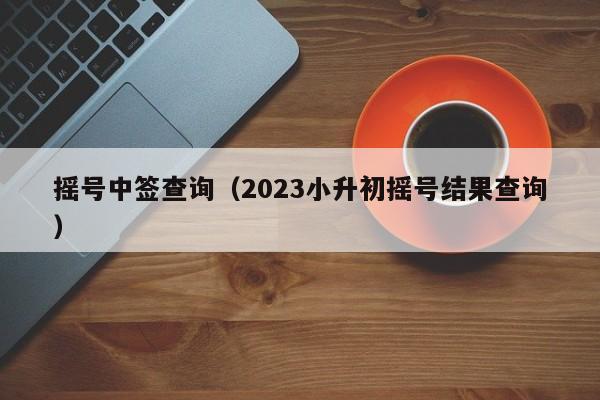 摇号中签查询（2023小升初摇号结果查询）