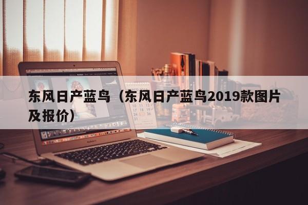 东风日产蓝鸟（东风日产蓝鸟2019款图片及报价）