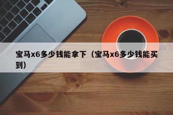 宝马x6多少钱能拿下（宝马x6多少钱能买到）