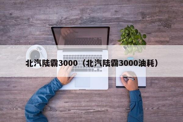 北汽陆霸3000（北汽陆霸3000油耗）