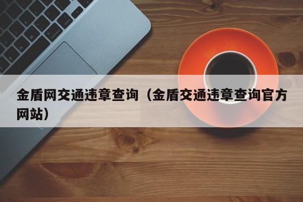 金盾网交通违章查询（金盾交通违章查询官方网站）