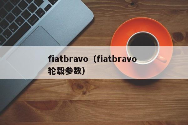 fiatbravo（fiatbravo 轮毂参数）