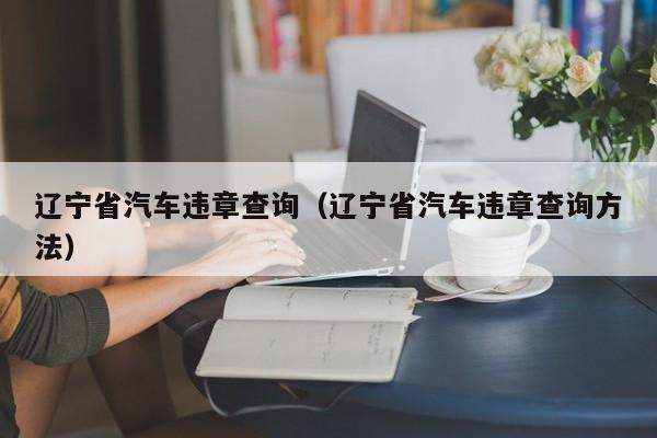 辽宁省汽车违章查询（辽宁省汽车违章查询方法）