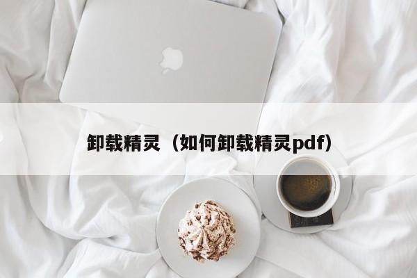 卸载精灵（如何卸载精灵pdf）