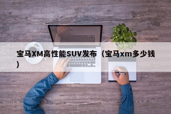 宝马XM高性能SUV发布（宝马xm多少钱）