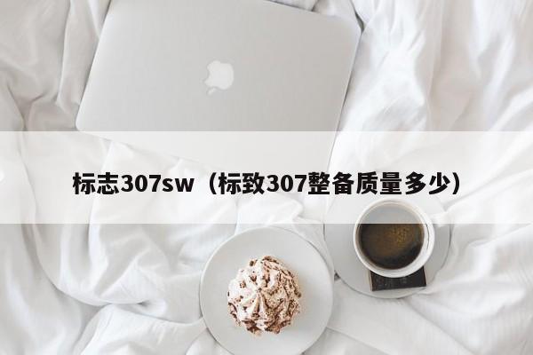 标志307sw（标致307整备质量多少）