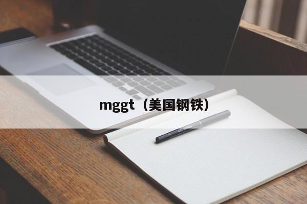 mggt（美国钢铁）