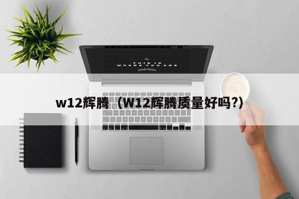 w12辉腾（W12辉腾质量好吗?）