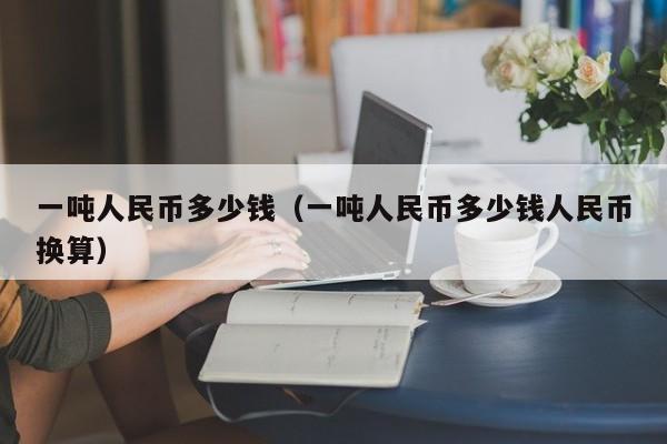 一吨人民币多少钱（一吨人民币多少钱人民币换算）