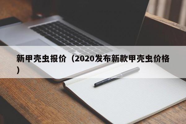 新甲壳虫报价（2020发布新款甲壳虫价格）