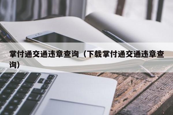 掌付通交通违章查询（下载掌付通交通违章查询）