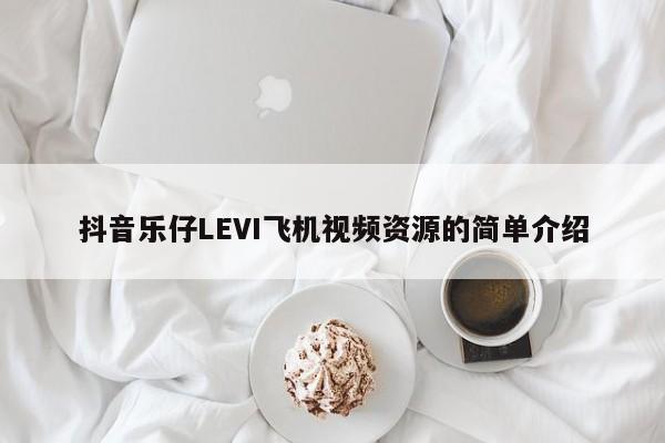 抖音乐仔LEVI飞机视频资源的简单介绍