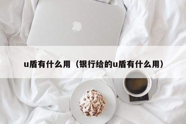 u盾有什么用（银行给的u盾有什么用）