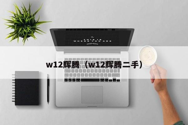 w12辉腾（w12辉腾二手）