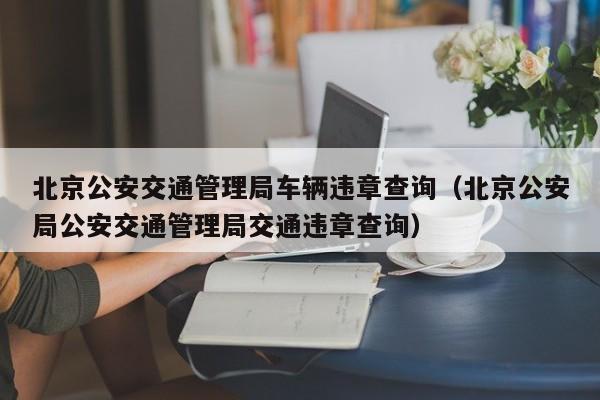 北京公安交通管理局车辆违章查询（北京公安局公安交通管理局交通违章查询）