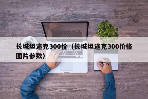 长城坦途克300价（长城坦途克300价格图片参数）