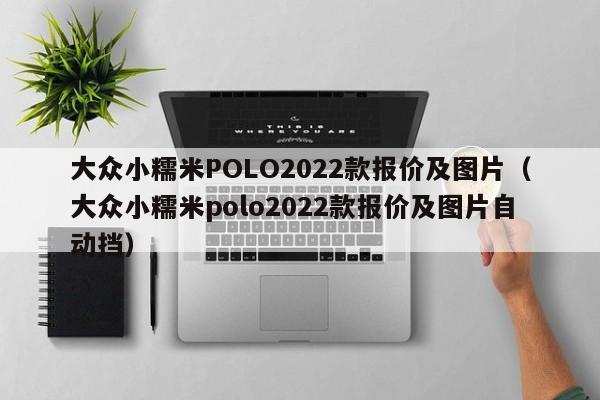 大众小糯米POLO2022款报价及图片（大众小糯米polo2022款报价及图片自动挡）