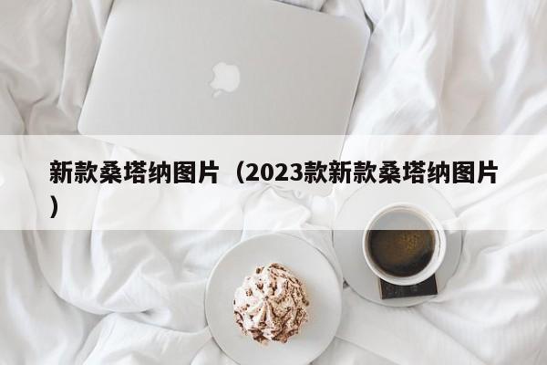 新款桑塔纳图片（2023款新款桑塔纳图片）