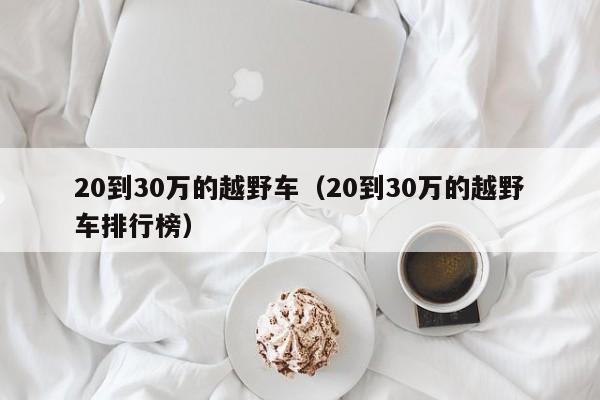 20到30万的越野车（20到30万的越野车排行榜）