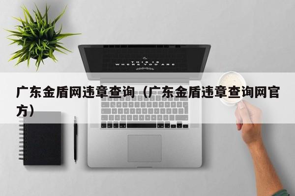 广东金盾网违章查询（广东金盾违章查询网官方）