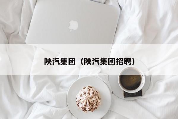 陕汽集团（陕汽集团招聘）