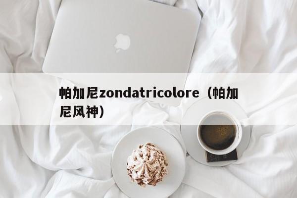 帕加尼zondatricolore（帕加尼风神）