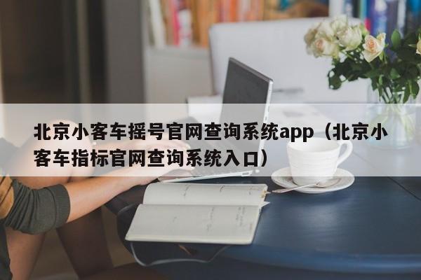 北京小客车摇号官网查询系统app（北京小客车指标官网查询系统入口）