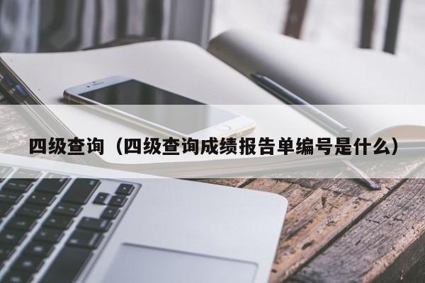 四级查询（四级查询成绩报告单编号是什么）