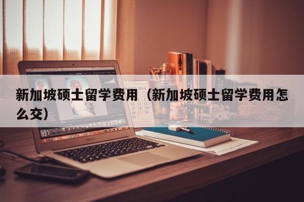 新加坡硕士留学费用（新加坡硕士留学费用怎么交）