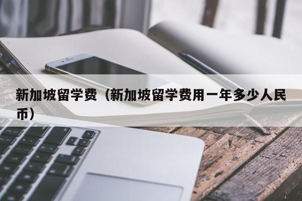 新加坡留学费（新加坡留学费用一年多少人民币）