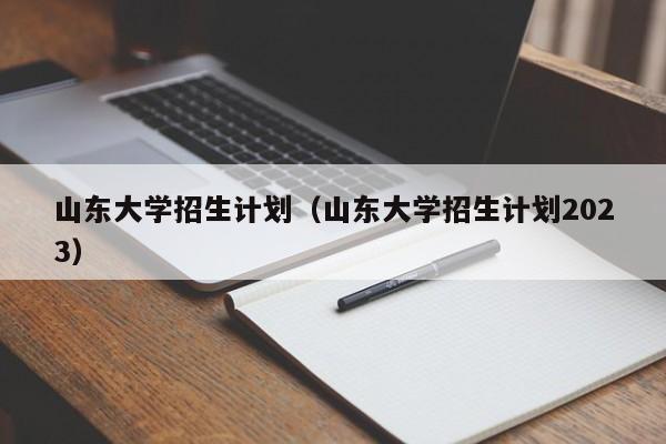 山东大学招生计划（山东大学招生计划2023）