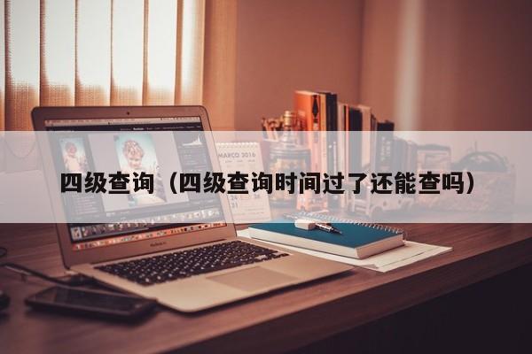 四级查询（四级查询时间过了还能查吗）