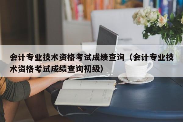 会计专业技术资格考试成绩查询（会计专业技术资格考试成绩查询初级）