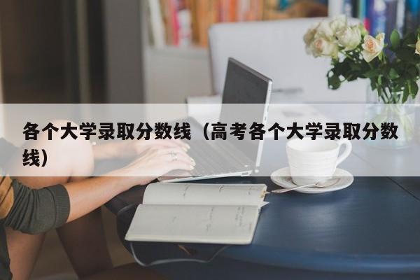 各个大学录取分数线（高考各个大学录取分数线）